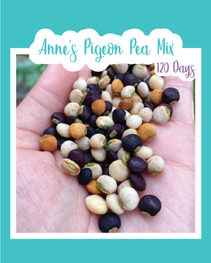 Anne's Pigeon Pea Mix