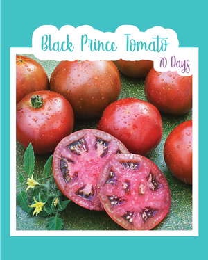 Black Prince Tomato