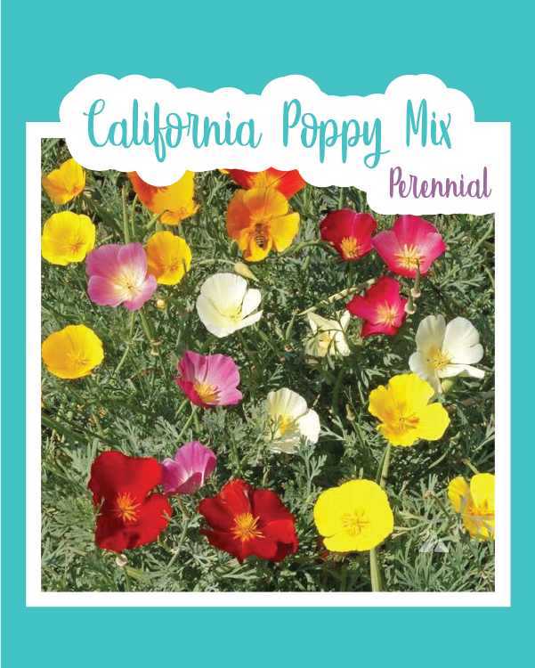 California Poppy Mix