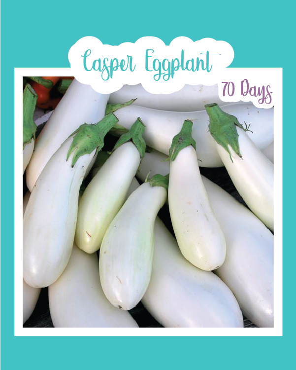 Casper Eggplant