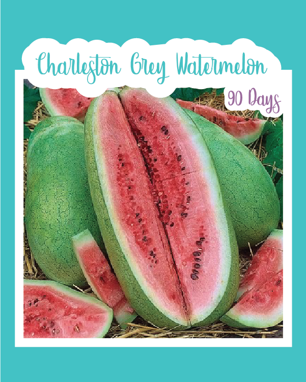 Charleston Grey Watermelon