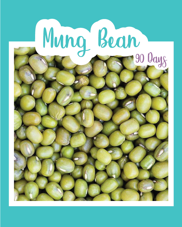 Mung Bush Bean