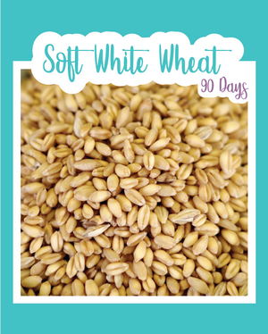 Soft White Wheat