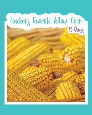 Trucker's Favorite Yellow Corn