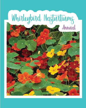 Whirleybird Nasturtium Mix
